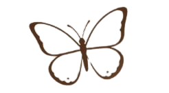 Vanessa Salada | Psicanálise